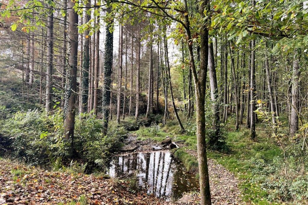 The Forest Retreat- Luxurioese Ferienwohnung Mit Privater Sauna Wermelskirchen Eksteriør billede