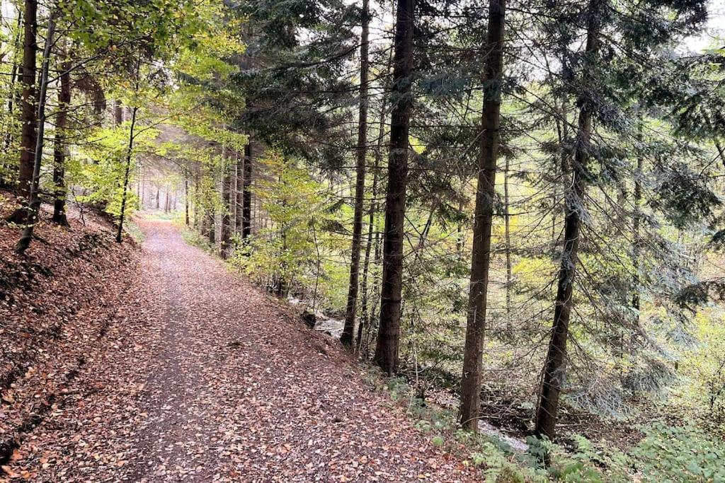 The Forest Retreat- Luxurioese Ferienwohnung Mit Privater Sauna Wermelskirchen Eksteriør billede